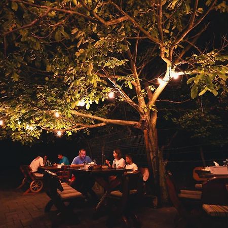Hanu Lui Gica Spa ซาตูมาเร ภายนอก รูปภาพ