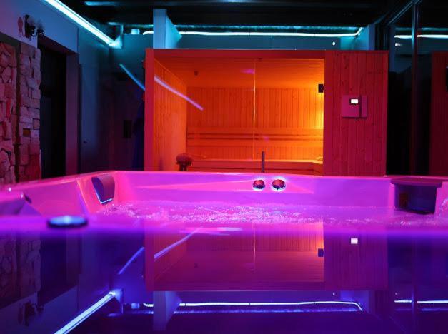 Hanu Lui Gica Spa ซาตูมาเร ภายนอก รูปภาพ