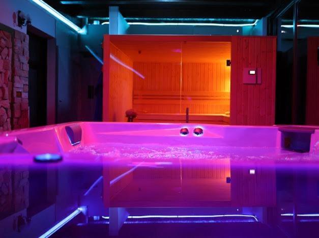 Hanu Lui Gica Spa ซาตูมาเร ภายนอก รูปภาพ