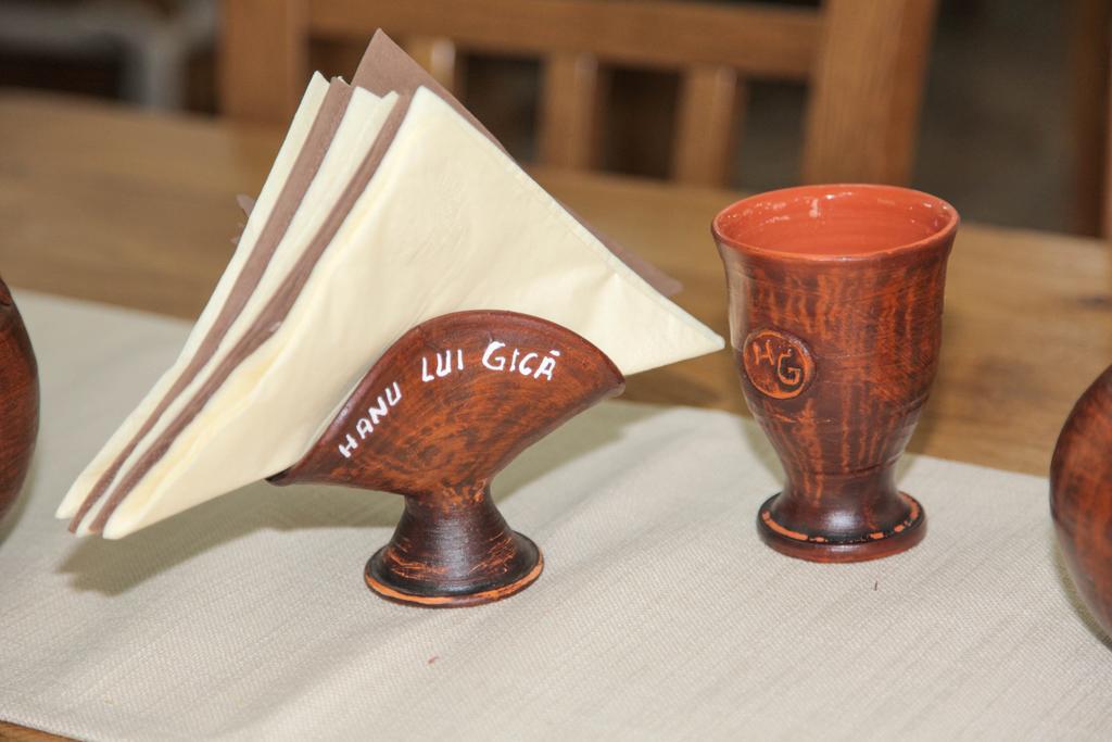Hanu Lui Gica Spa ซาตูมาเร ภายนอก รูปภาพ
